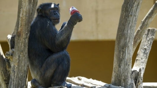 Imagen de referencia. Foto: AFP.