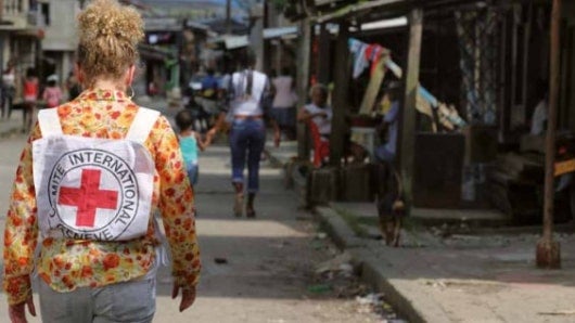 Unas 17.100 mujeres y niñas han sufrido delitos sexuales.