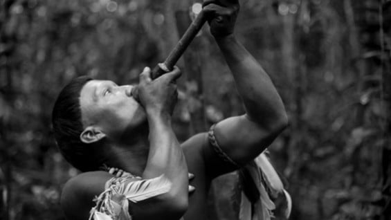 Foto: @abrazoserpiente