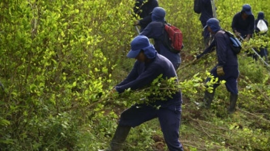 Foto: archivo NoticiasRCN.com