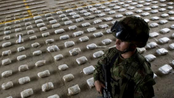 La producción potencial de cocaína pura de Colombia creció un 30 % en 2014 hasta las 245 toneladas métricas . Foto: AFP