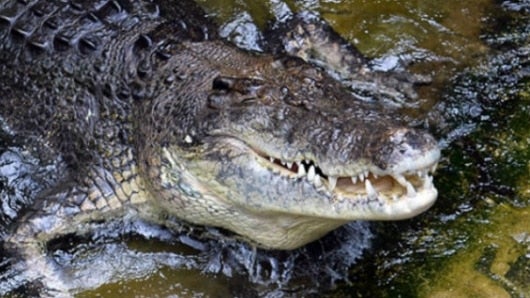 Foto: referencia AFP