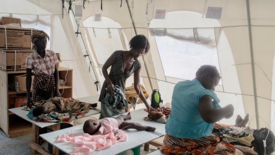 La enfermedad también afecta a Kenia, Tanzania y Mozambique. Foto: Archivo AFP