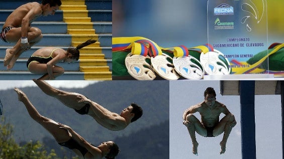 Clavadistas colombianos durante el Sudamericano que se realizó en Medellín. Fotos: EFE. Medallas y placa Foto: COC.