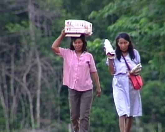 En la Orinoquía existen varias comunidades con riesgo a desaparecer. Foto: Noticias RCN