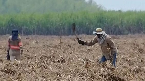 Los trabajadores aseguran que la multa elevará el desempleo. Foto: Noticias RCN.