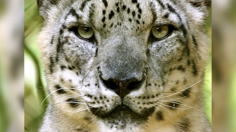 Foto: Archivo particular.