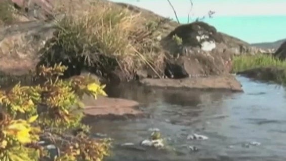 Foto: archivo NoticiasRCN.com