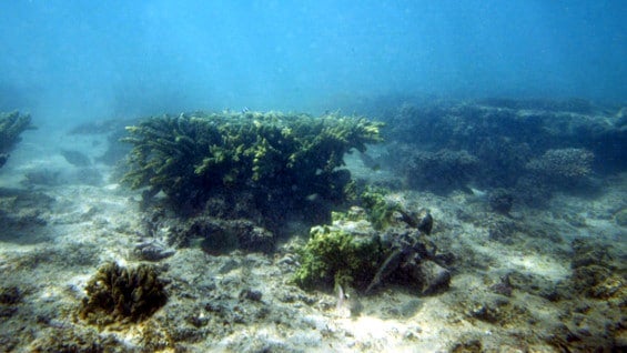 Foto: AFP.