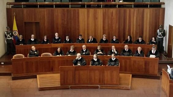 La Sala dice que los miembros de la fuerza pública deben ceñirse estrictamente a los parámetros fijados por la Constitución.