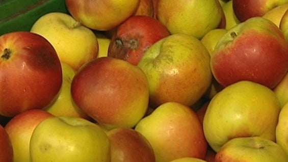 Aterrador costo de vida en Venezuela. Foto: NoticiasRCN.com