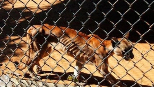 Foto: @rauljulialevy