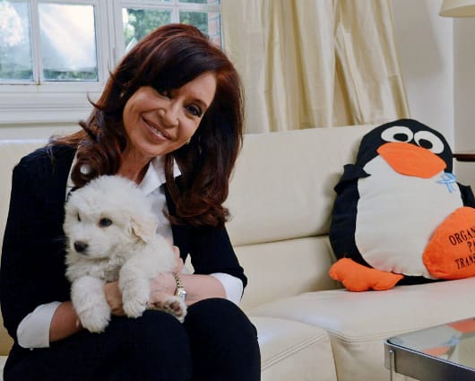 La Mandataria estuvo seis semanas por fuera de la Presidencia. Foto: AFP