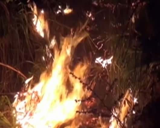 Hasta el momento no se han reportado victimas.