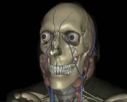 El software es un atlas de la anatomía humana en 3D, Foto: AFP