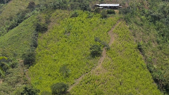 Foto de referencia. AFP.