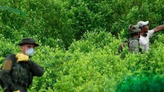 FOTO: Archivo. NoticiasRCN.com