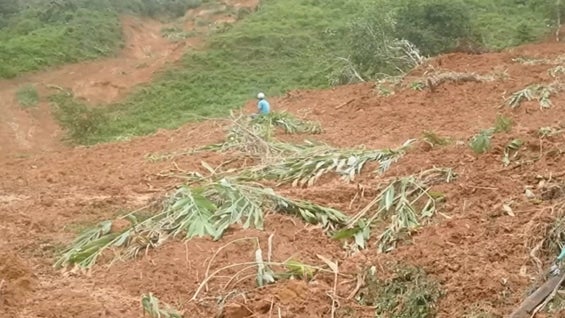 Foto: NoticiasRCN.com