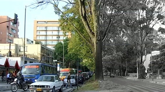 Carrera 11 con calle 83, norte de Bogotá. Foto: NoticiasRCN.com