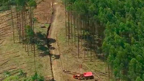 Foto: NoticiasRCN.com