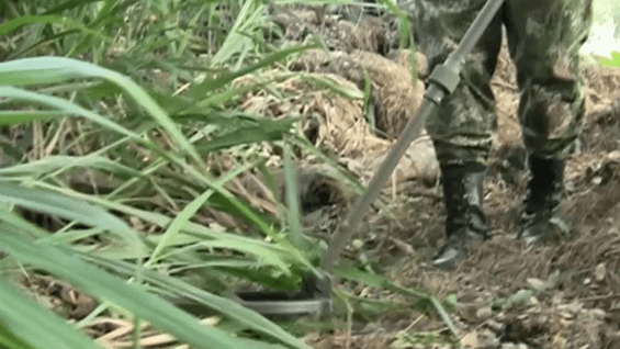 El Batallón de desminado está conformado por miembros del Ejército y la Armada.