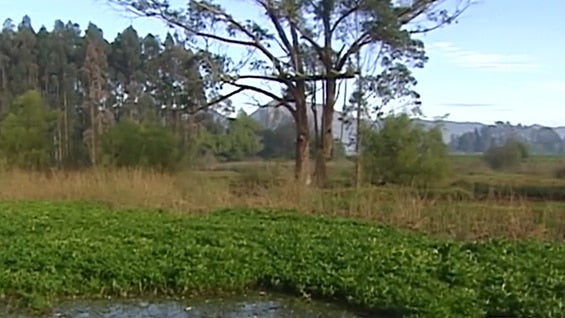 La autoridad ambiental adelanta una vigilancia especial del proyecto.