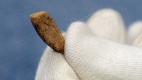 El laboratorio ha constatado que se trata del resto humano más antiguo encontrado por ahora en Francia. Foto: AFP