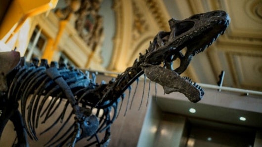 Imagen de referencia. Foto: AFP.