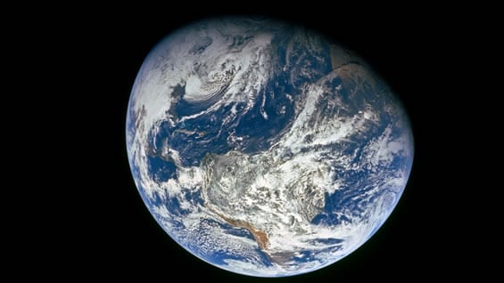 El estudio estima una tasa de extinción anual de entre 100 y 1.000 especies por millón. Foto: NASA