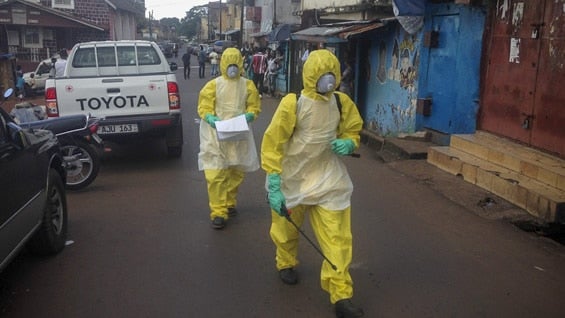 El virus ébola ha matado hasta la fecha a 4.922 personas. Foto: EFE.