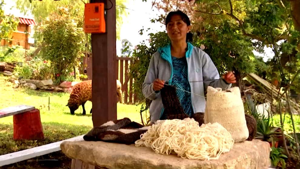 Foto:NoticiasRCN.com