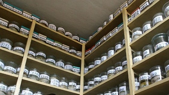 Foto referencial archivo AFP