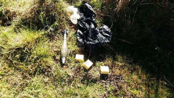 Foto: Ejército Nacional.