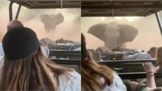 FOTO: tomada del video