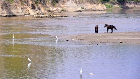 Fenómeno del Niño empieza a declinar, según la OMM Fenómeno del Niño empieza a declinar, según la OMM
