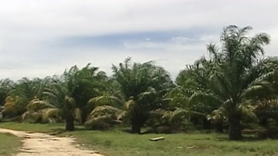 La Fiscalía investiga la responsabilidad de la empresa que adquirió los terrenos. Foto: Noticias RCN.