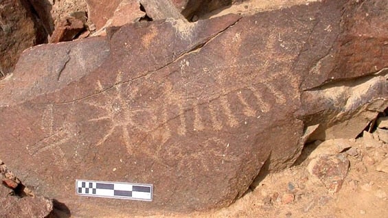 Petroglifos grabados en piedras. Foto: Asociación Peruana de Arte Rupestre.
