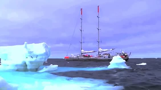 Durante los cuatro años que duró esta larga travesía por los océanos de todo el mundo los científicos lograron descubrir 35.000 especies ocultas.