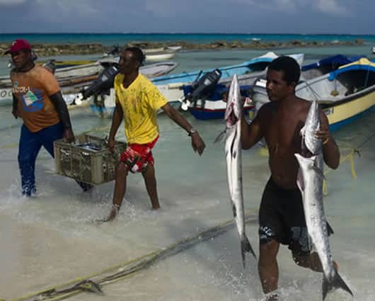 Nicaragua ofrece territorios que hacen parte de la Reserva de la Biosfera Seaflower, Foto: AFP.