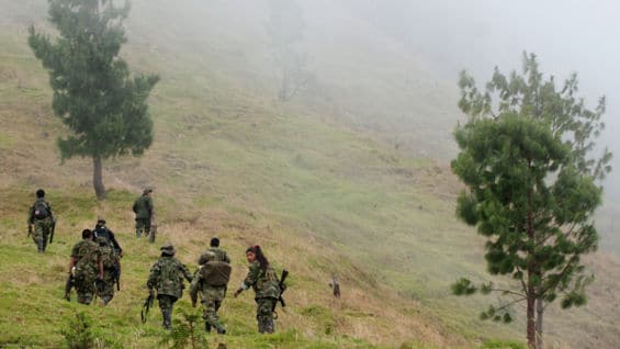 Farc. Foto: archivo AFP.