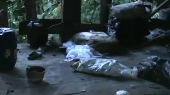 El campamento cocalero fue hallado en zona rural del municipio del Valle del Guamuez. Foto: NoticiasRCN