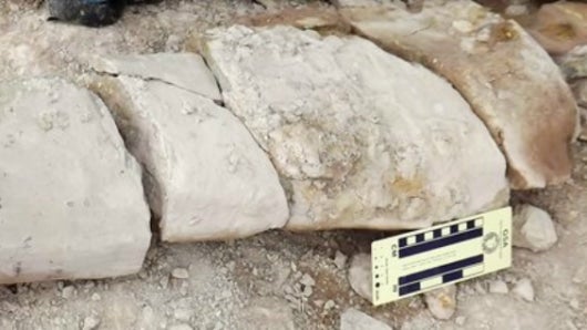 Foto: Servicio Geológico Colombiano (SGC)