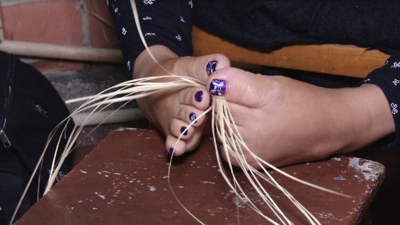 Foto: NoticiasRCN.com