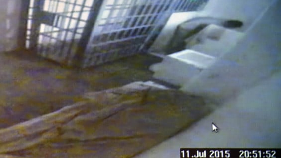 El video muestra los minutos previos a la fuga del capo del narcotráfico. Foto: AFP.