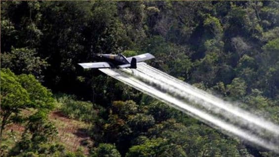 La solicitud del presidente ha generado todo tipo de reacciones. Foto: AFP.