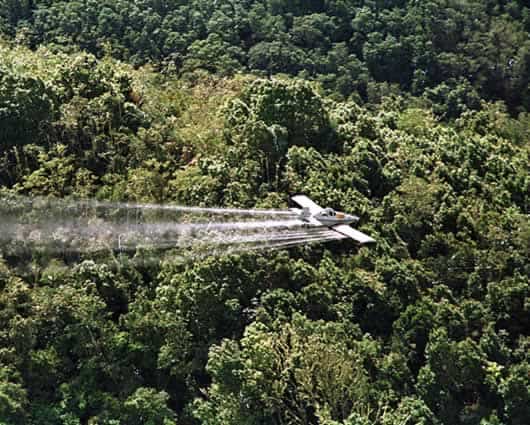 Quedaron definidos los tipos de aeronaves que se usarán. Foto: AFP