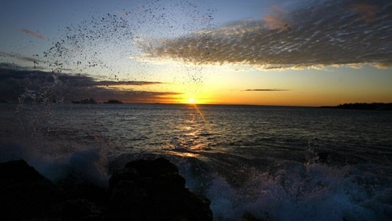 Islas ecuatorianas de Galápagos, Patrimonio Natural de la Humanidad. AFP