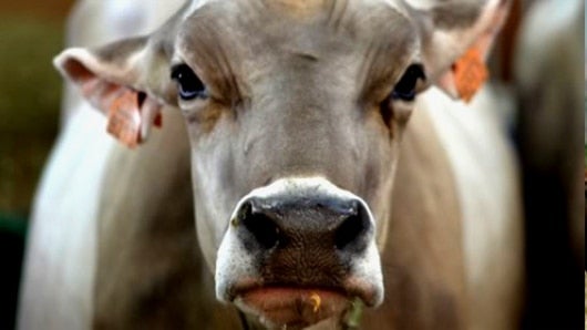 Foto: NoticiasRCN.com