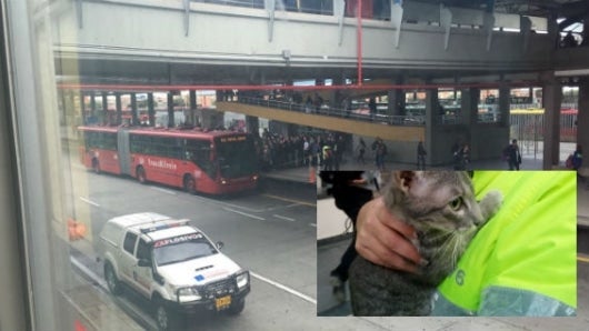 Foto Policía de Bogotá