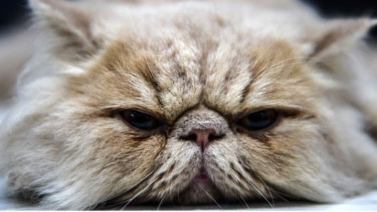 El hotel contará con 20 habitaciones. Foto: AFP